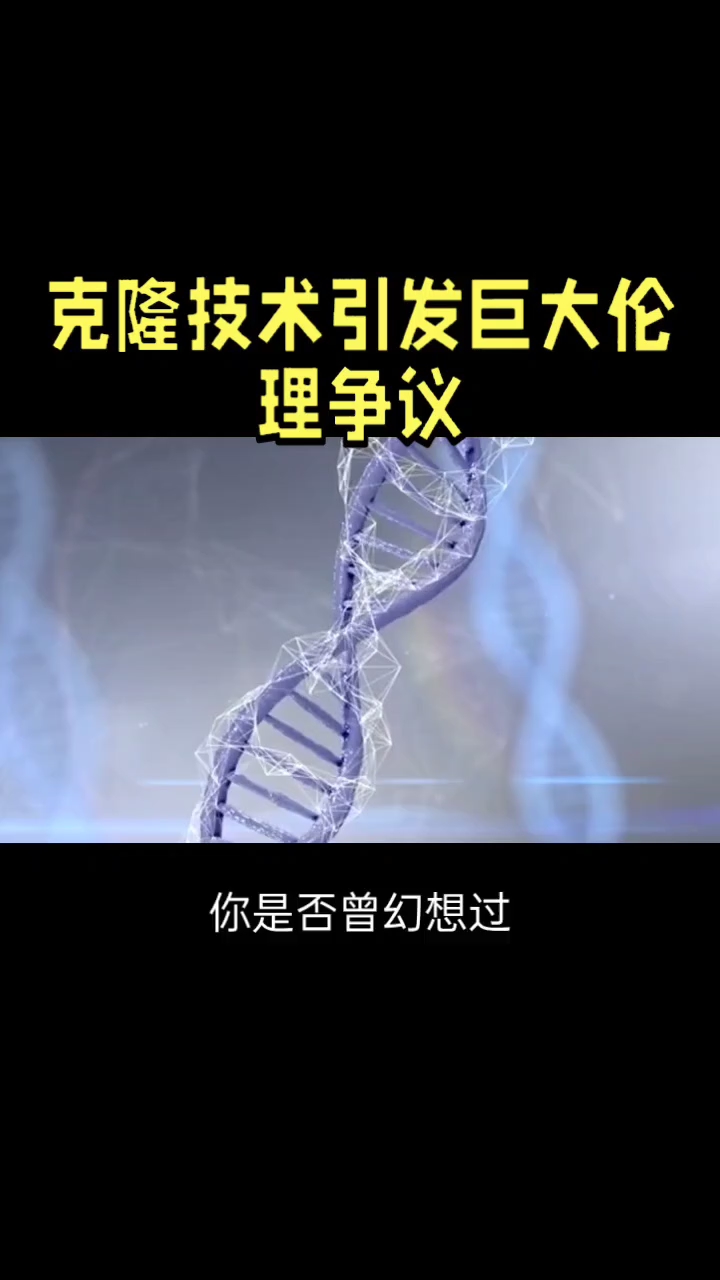 关于VAR判罚再引争议，那不勒斯对阵哈兰德裁判判点引发巨大争议的信息